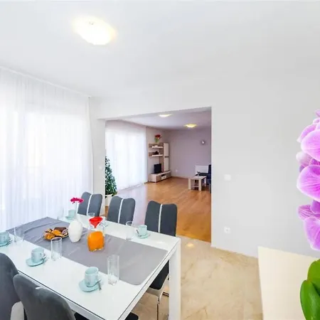 My Dalmatia * ザダル